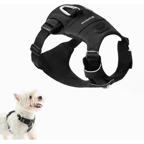 Dog Harness, Lightweight No Pull Vest Harness, Pet Harness with Pocket, Dog Vest with Two Leash Attachment, Dog Training Harness for Outdoor Walking Running, Hiking (Turquoise, XXS)