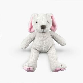 Nandog My BFF Bandit The Raccoon Plush Dog Toy - Soft & Snuggly مع Squeaker & Crinkle Paper - مثالي للعب ، الحضن والمضغ اللطيف