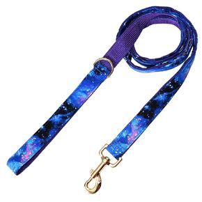 Triple Handle Dog Leash - 3 Handles at 12, 20, & 72 Inches - 6 Foot Lead - Galaxy Print on Purple Webbing - Handmade by Green Acorn Kitchen (Silver Hardware)