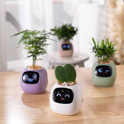 Smart pet Planter Robot Guidance on Plant Care with Emojis, Adorable Plant Companion with Rich Gesture Interaction, Neat Desk Setup Gift (Purple) in Saudi Arabia