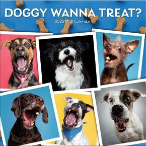 TURNER PHOTOGRAPHIC Doggy Wanna Treat? 12x12 Photo Wall Calendar (25998013008)
