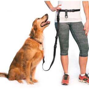 The Buddy System Hands Free Dog Leash and Extend a Buddy Pet Leash, Bundle Adjustable Dog Leash for Walking, Running, Training, Exercise with Your Dog-Made in The USA