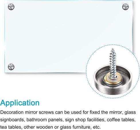 METALLIXITY Mirror Screws (19mm/0.75") 10Pcs, Decorative Cover Cap Nails Brushed - for Sign Advertising Hardware, Construction, Silver Tone in Saudi Arabia