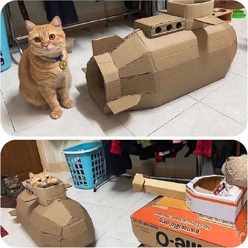 قاطع Mesen Cardboard لخدش القط ، قاطع صندوق من الورق المقوى ثلاثي الأبعاد ، خدش Cat Cat DIY ، أداة إعادة تدوير الورق المقوى المحمولة ، آلة قطع الورق المقوى لمحبي القط (صغيرة) in Kuwait