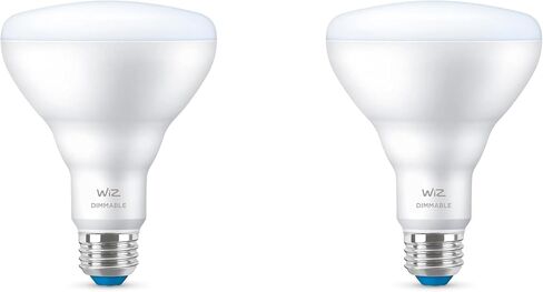 WiZ Connected 2pk A19 Dimmable Daylight in Kuwait