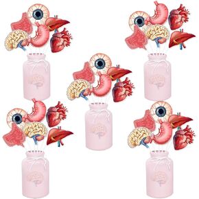 Kreatwow Human Anatomy Party Decorations 24pcs Anatomy Contomy العصي الطبية الجسدية البشرية جزء الجدول الجدول العضى تشريح علم وظائف الأعضاء