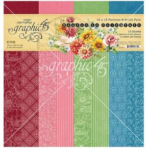 Graphic 45 Collection Pack 12 "x12" -patterns & Solids ، الموسم للاحتفال