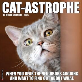 Willow Creek Press, Cat Astrophe 2025 Wall Calendar