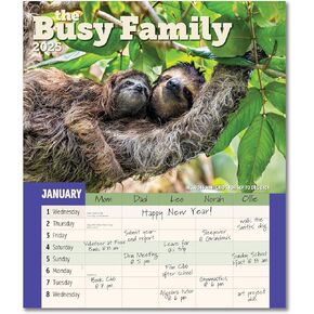Busy Family Wall Calendar 2025, Monthly January-December 12'' x 14"