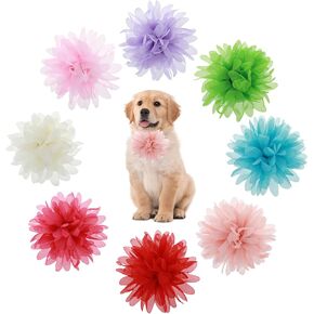 Lusofie 8 PCS طوق الكلب الزهور