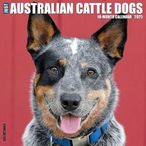Willow Creek Press, Just Australian Cattle Dogs 2025 Wall Calendar
