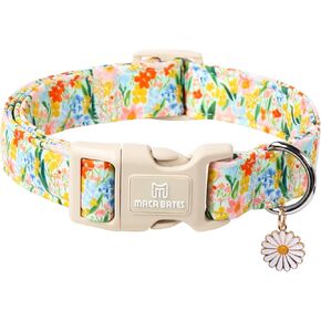 Maca Bates Summer Lemon Basic Dog Collar with Safety Buckle Adjustable Durable Soft Dogs Collars with Yellow Lemon Charm Birthday Gift for XS Small Medium Large XL for Girl Boy Male Female Puppy