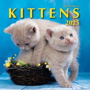 Kittens 2025 Hangable Wall Calendar Cute Kitty Cat Photo Gift for Her Beautiful Kitten Photography Large Full Page 16 Months for Organizing Planning (2025 Kittens)