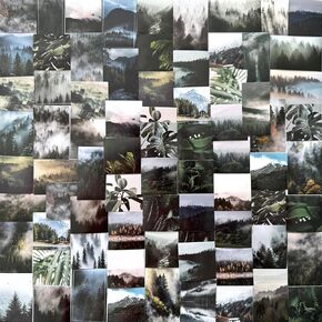 76pcs ملصقات نباتات الغابات عتيقة ملصقات سجلات سجلات سجلات ، Maxleaf 2 صناديق Mini Mountain Forest Leaves ملصقات لمخططي Art Journaling Prots Abs Crafts