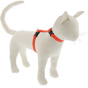 قطة لوبين وحيوان صغير على طراز H HARNESS 1/2 "Blaze Orange Wide With 9" to 14 "
