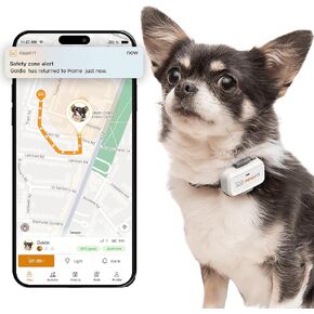 لايت للكلاب الصغيرة 4G GPS Tracker | تتبع الوقت الحقيقي | مراقبة النشاط | تاريخ الموقع | نطاق غير محدود | ببساطة أبيض