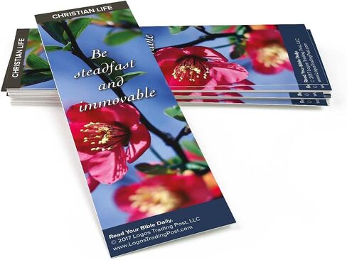 Christian Bookmark with Bible Verse, Pack of 25, Christian Life Themed, Beloved, Let Us Love One Another, 1 John 4:7-8 in Saudi Arabia