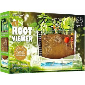 طقم عارض الجذر للأطفال - قم بزراعة حديقة أطفالك للبنين والبنات - العلوم STEM Toy & Craft Mething مجموعات الأعمار 6 7 8 9