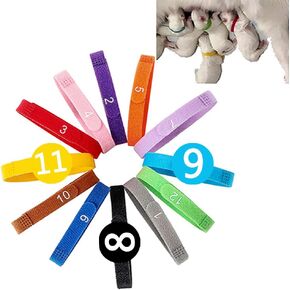 Newborn Puppy ID Collars with Numbers - Dog Kitten Collar - 3 Adjustable Sizes of Personalized Collars for Small Medium Large Whelping Dogs - Assorted Colors, Whelping Supplies (12pcs-L)