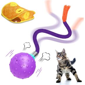 CAT Toys Cat Electric Cat Ball في فتحات الفئران ، Pop n Play Toys مع نفق Cat Play القابل للطي