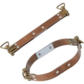 Superfindings 2pcs 9.8 "إطارات مرنة داخلية معدنية مع حلقة محفظة الحديد ، حقيبة اليد ، مفصلات HANGES KISS CLASS