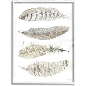 صناعات Stupell Industries Neutral Bird Feather Patterns Natural Patterns Country Quill White Wall Wall Art ، 16 × 20 ، رمادي