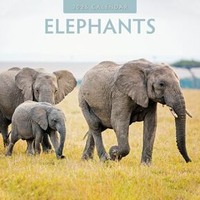 Red Robin 2025 Elephants Monthly Wall Calendar | 12" x 24" Open | Premium Thick & Sturdy Paper | Hangable 12 Month Calendar | Plastic Free | 4 Month Transition Page for 2024