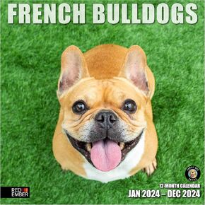 RED EMBER Boston Terriers 2025 Wall Calendar 12 Month | 12" x 24" Open | Thick & Sturdy Paper | Giftable | Calendar 2025