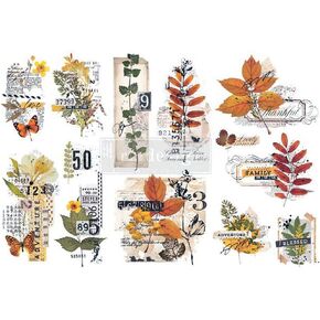 إعادة التصميم باستخدام Small Transfers Collector Collector 3 ، 6 "x12" 655350655426