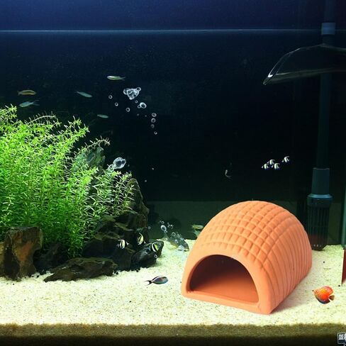 Aquarium Decorations for Betta Fish, Shrimp, Goldfish Pleco Caves for Fish Tank Landscape Ornament Shrimp Breeding Cave 2 Pcs Natural Ceramic Mushroom House in Kuwait