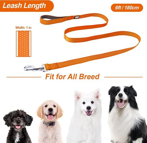 TwoEar 6FT Orange Dog Leash Heavy Duty with Padded Handle, Strong Nylon Dog Leash Reflective Leash for Medium Large Dogs in Kuwait
