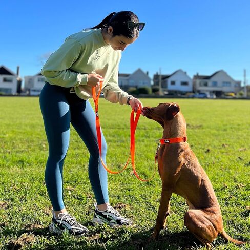 TwoEar 6FT Orange Dog Leash Heavy Duty with Padded Handle, Strong Nylon Dog Leash Reflective Leash for Medium Large Dogs in Kuwait