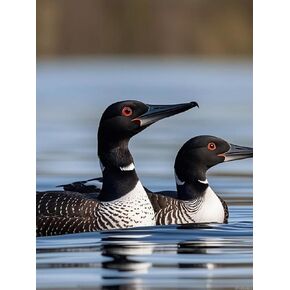 upablunso loon birds Diamond Painting Diy Diamonds Art Kits للبالغين الكبار من النقاط الماس الكاملة