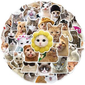 50 Pcs Cat Stickers Cute Funny Sticker for Teens Girl Kids Waterproof Vinyl for Laptop Scrapbooks Guitars Luggage Bike Phone Skateboards (Yellow)