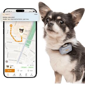 لايت للكلاب الصغيرة 4G GPS Tracker | تتبع الوقت الحقيقي | مراقبة النشاط | تاريخ الموقع | نطاق غير محدود | أرجواني رمادي