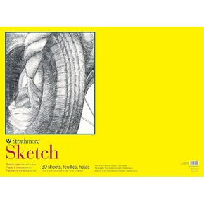 Strathmore 300 Series Series Paper Paper للرسم والفنانين والطلاب - 22 × 30 بوصة ، 30 ورقة