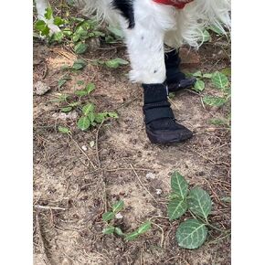 Paw Protector Dog Boots Breathable Nonslip and Soft Color Black Size X-Large