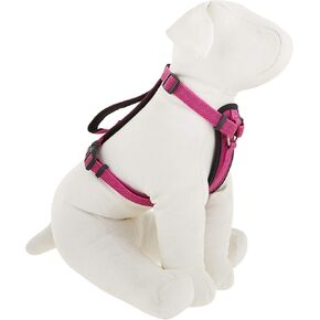 Kong Comfort Comfort Pated Chest Plate Sharness التي تقدمها Barker Brands Inc (Medium ، Pink).
