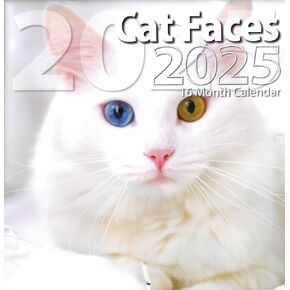 Bachmann Press 2025 Cat تواجه التقويم الحجم الكامل للحجم للتخطيط والجدولة والتنظيم