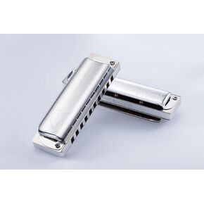 Solist Folk Harp,10 hole diatonic harmonica,Gifts for Kids,Beginners and Professional Players(Key of D)