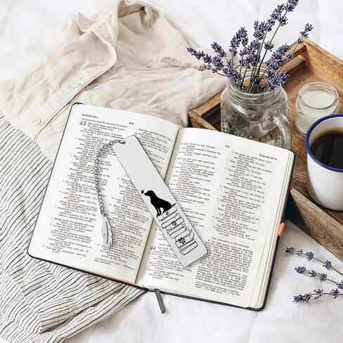 إشارات مرجعية مضحكة لمحبي الكتب، هدايا القراءة لمحبي الكتب والنساء والرجال والكتاب والقراء والأصدقاء هدايا عيد الميلاد، وتخزين المواد لطلاب المكتبة وزملاء العمل والمراهقين والبنات وهدايا التخرج in Kuwait
