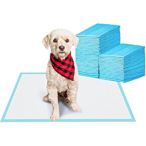 Generico Puppy Training Pads, Large 24x24 inches, Blue, 40 Count