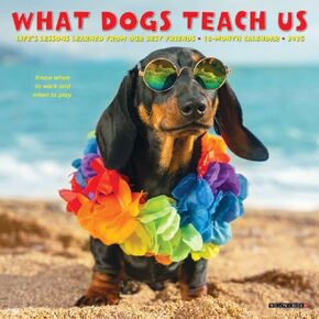 Willow Creek Press Calendars, What Dogs Teach Us 2025 Mini Wall Calendar