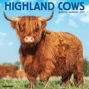 Willow Creek Press Calendars, Highland Cows 2025 Wall Calendar