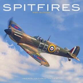 2025 Spitfires Wall Calendar, 12X12, Avonside Publishing