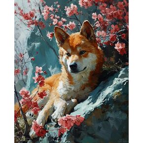 Qaceyid DIY Paint بأرقام للمبتدئين للبالغين ، Shiba Zen Blossom Bliss ، الطلاء بواسطة أرقام طقم الطلاء بأرقام للبالغين ، 16 "× 20"