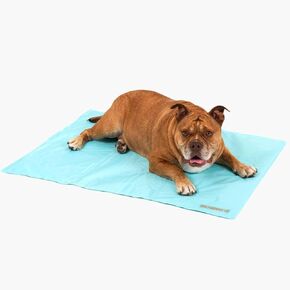 DF Co. Dog التبريد حصيرة للصيف | التبريد التلقائي ، بسهولة قابلة للطي ، غير سامة للهلام الداخلي | السماء الأزرق ، الحجم ل
