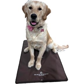 Black Sierra Extra Large Dog Kennel Pad, 1 Inch Thick Padding Measures 32" x 22", Water Resistant Crate Cushion for Hunting or Travel, Durable and Slip Resistant Pet Bedding Mat