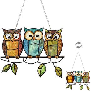 eiflow معلق مجموعة فن الماس للبالغين البوم لطيف البوم ، الماس الأكريليك الطلاء طقم طقم ، DIY GEM Art Pendant Ornament