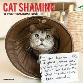 Willow Creek Press ، Cat Charing 2025 Wall Calendar